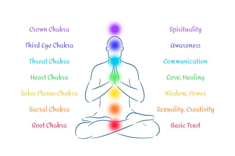 Infographic showing the Seven Chakras with their respective meanings and positions along the spine